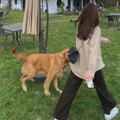玩具掌门人